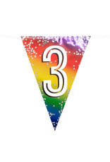 Vlaggenlijn metallic rainbow 3 jaar 6 meter