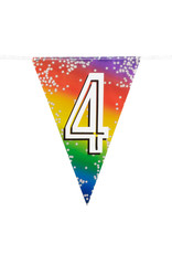 Vlaggenlijn metallic rainbow 4 jaar 6 meter