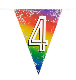 Vlaggenlijn metallic rainbow 4 jaar 6 meter