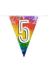 Vlaggenlijn metallic rainbow 5 jaar 6 meter