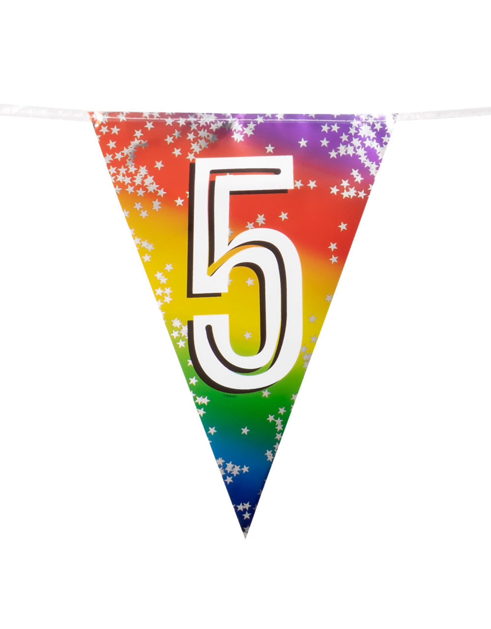 Vlaggenlijn metallic rainbow 5 jaar 6 meter