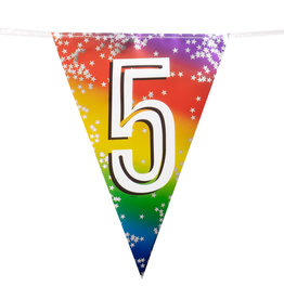 Vlaggenlijn metallic rainbow 5 jaar 6 meter