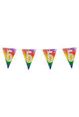 Vlaggenlijn metallic rainbow 5 jaar 6 meter