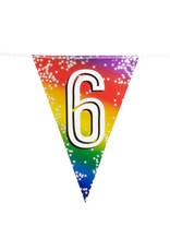 Vlaggenlijn metallic rainbow 6 jaar 6 meter