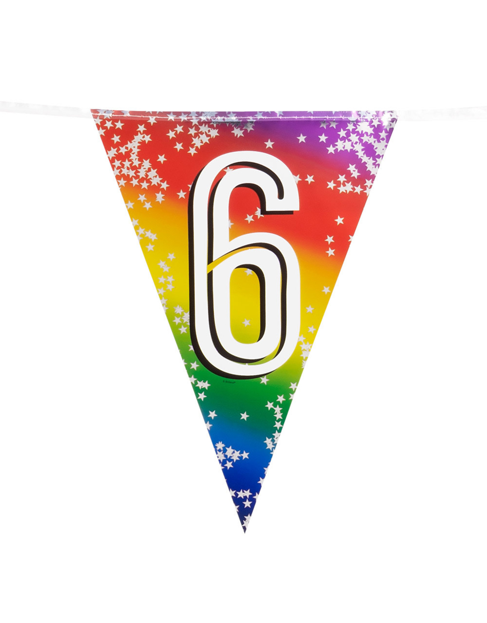 Vlaggenlijn metallic rainbow 6 jaar 6 meter