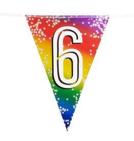 Vlaggenlijn metallic rainbow 6 jaar 6 meter