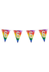 Vlaggenlijn metallic rainbow 6 jaar 6 meter