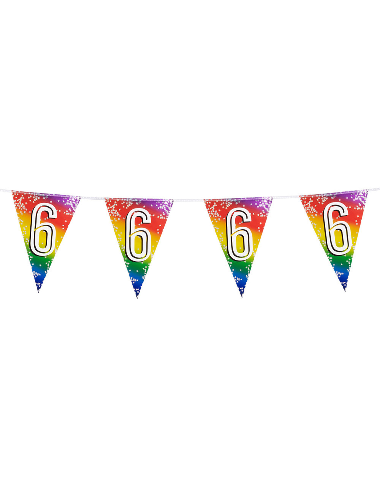 Vlaggenlijn metallic rainbow 6 jaar 6 meter