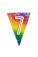 Vlaggenlijn metallic rainbow 7 jaar 6 meter