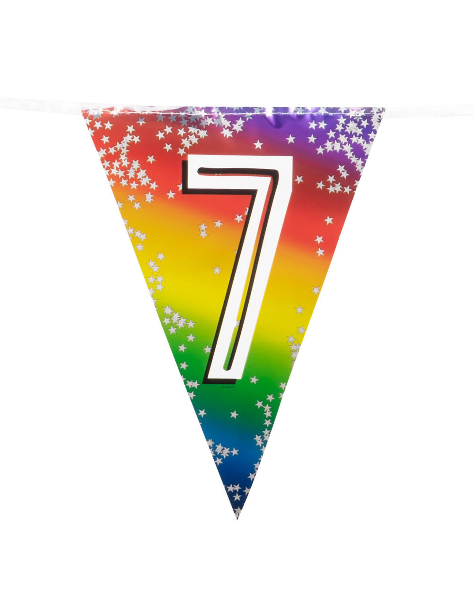Vlaggenlijn metallic rainbow 7 jaar 6 meter