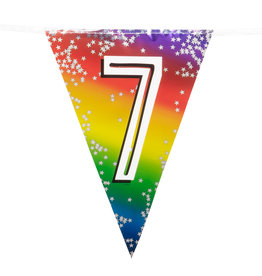 Vlaggenlijn metallic rainbow 7 jaar 6 meter