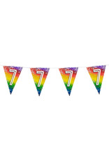 Vlaggenlijn metallic rainbow 7 jaar 6 meter