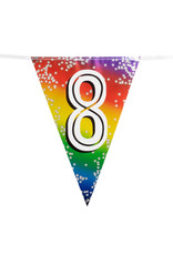Vlaggenlijn metallic rainbow 8 jaar 6 meter