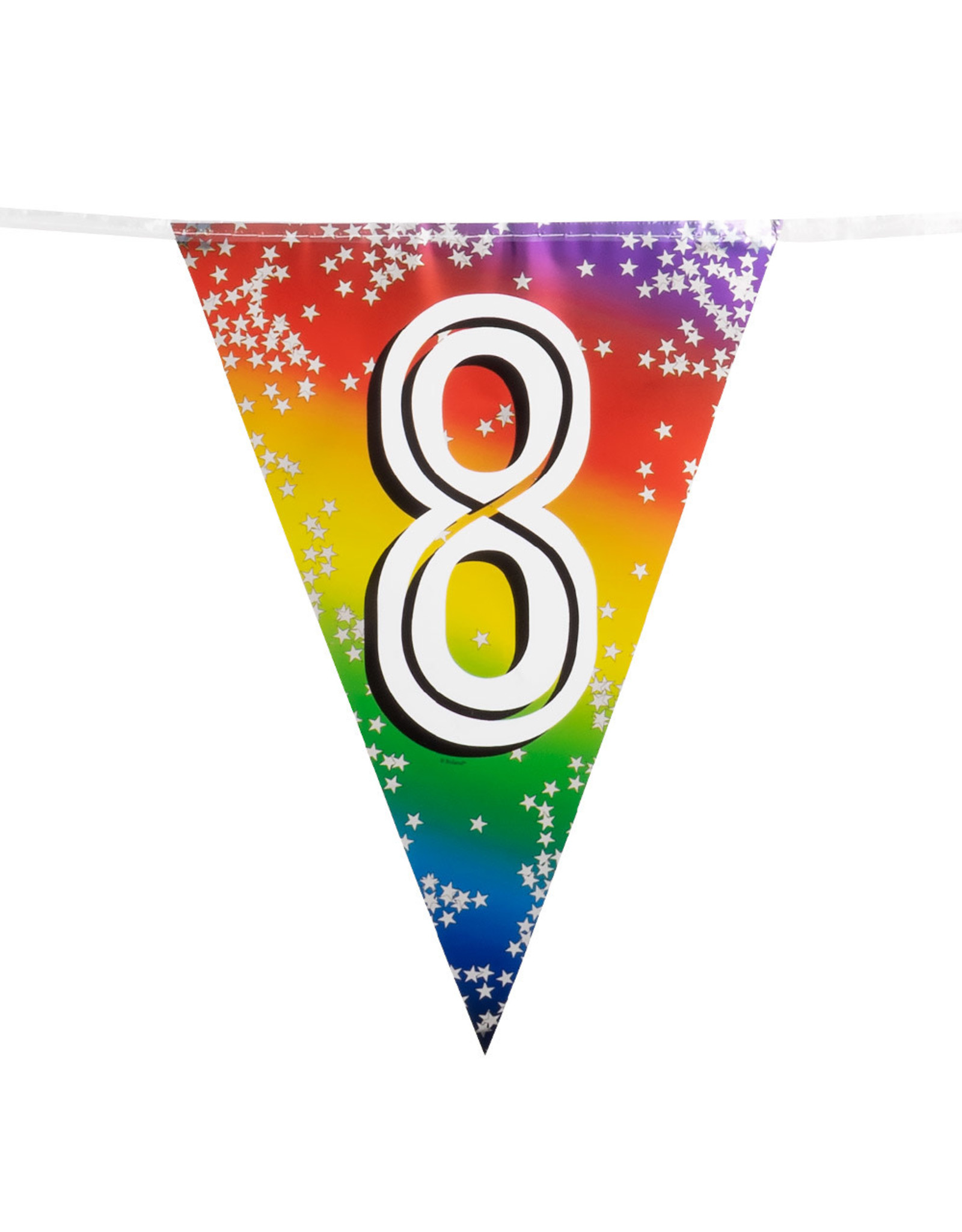 Vlaggenlijn metallic rainbow 8 jaar 6 meter