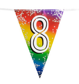 Vlaggenlijn metallic rainbow 8 jaar 6 meter