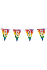 Vlaggenlijn metallic rainbow 8 jaar 6 meter