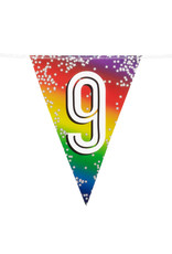 Vlaggenlijn metallic rainbow 9 jaar 6 meter