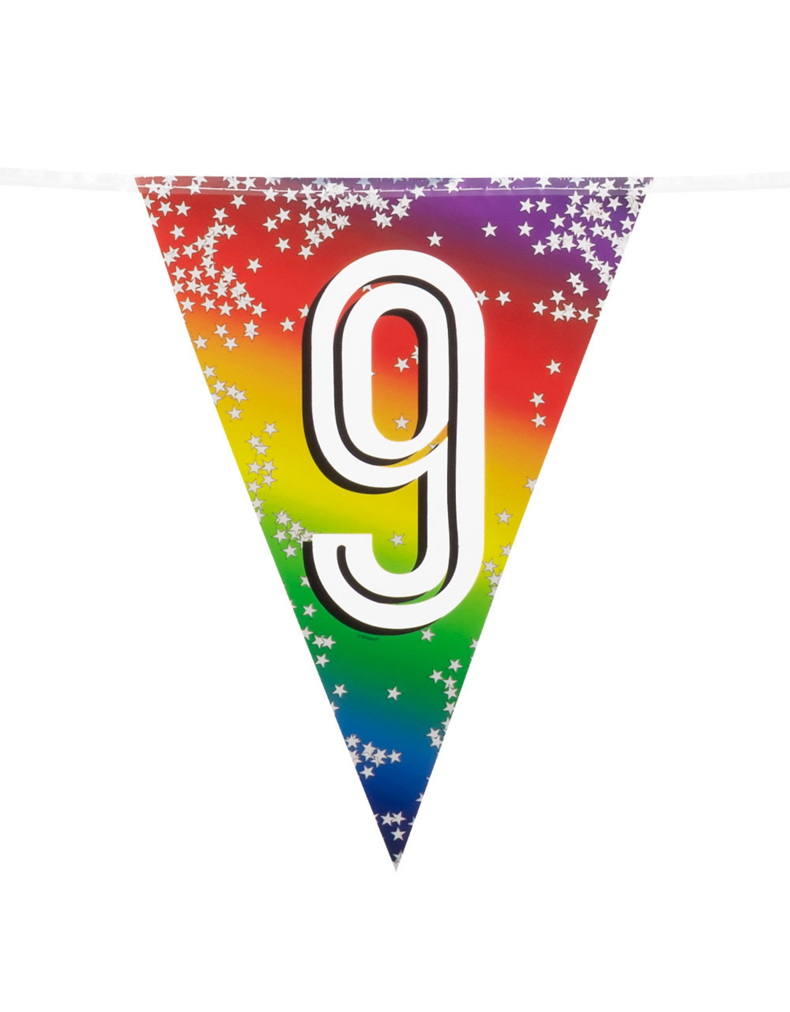 Vlaggenlijn metallic rainbow 9 jaar 6 meter
