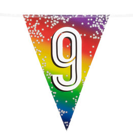 Vlaggenlijn metallic rainbow 9 jaar 6 meter