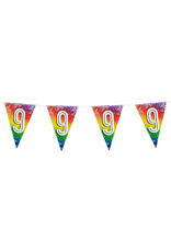 Vlaggenlijn metallic rainbow 9 jaar 6 meter