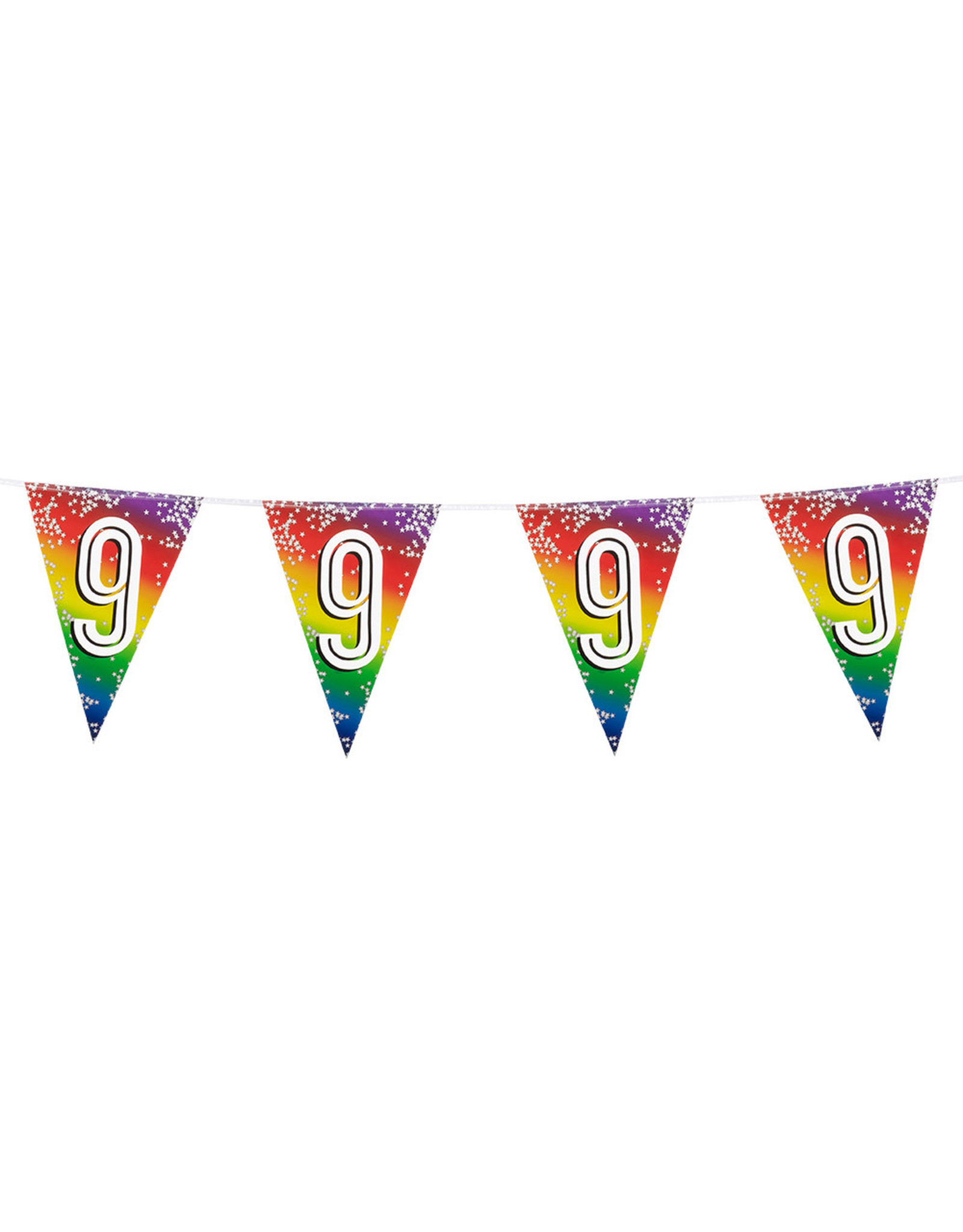 Vlaggenlijn metallic rainbow 9 jaar 6 meter