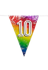 Vlaggenlijn metallic rainbow 10 jaar 6 meter