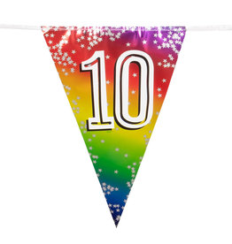 Vlaggenlijn metallic rainbow 10 jaar 6 meter