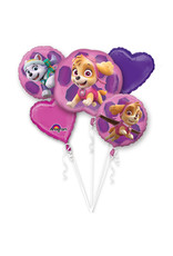 Folieballonpakket Paw patrol Skye & Everest 5-delig