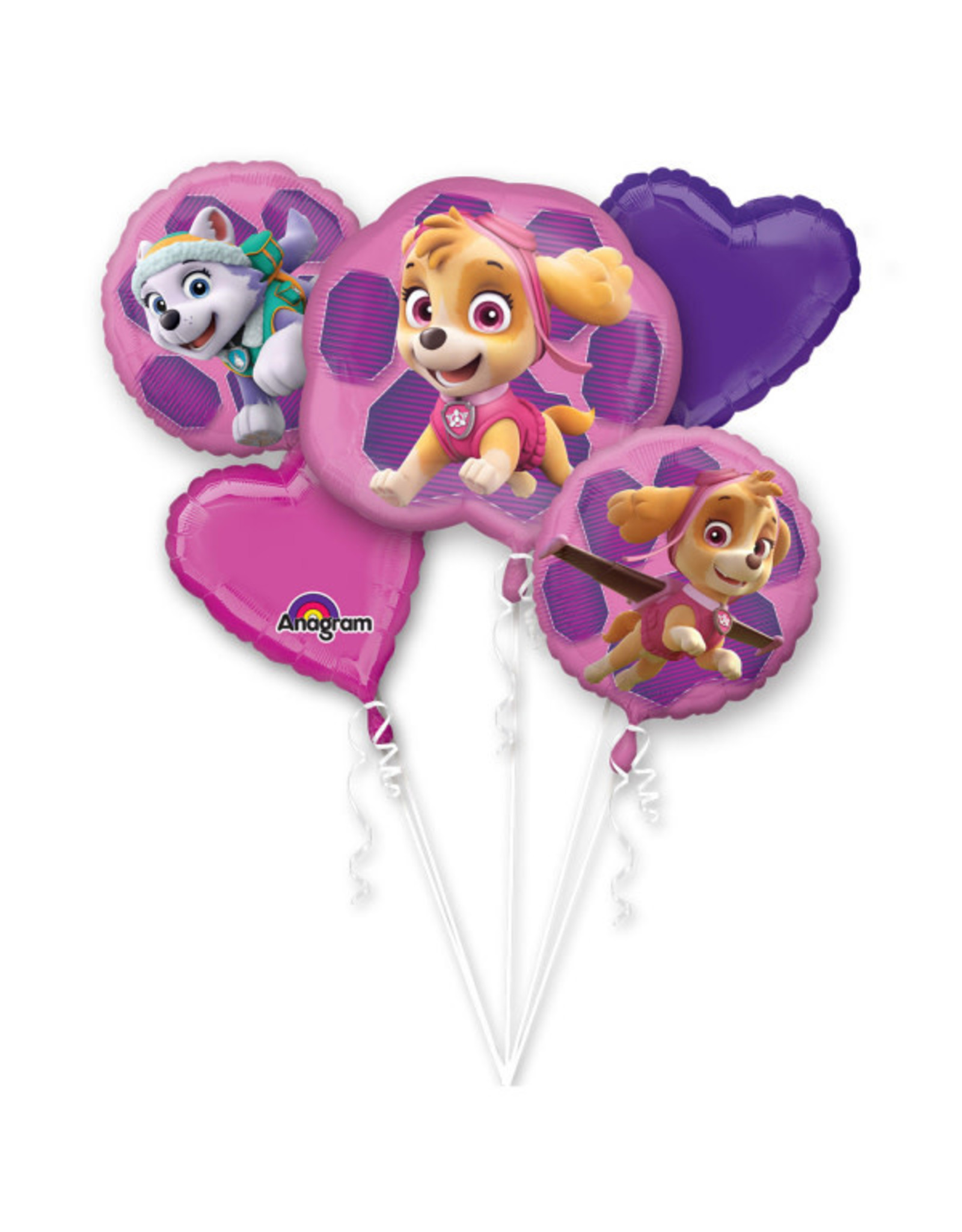 Folieballonpakket Paw patrol Skye & Everest 5-delig