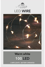 LED verlichting snoer wit 5 meter (100 LED)