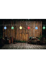 Party lights LED multicolour 10 meter (50 lampjes)