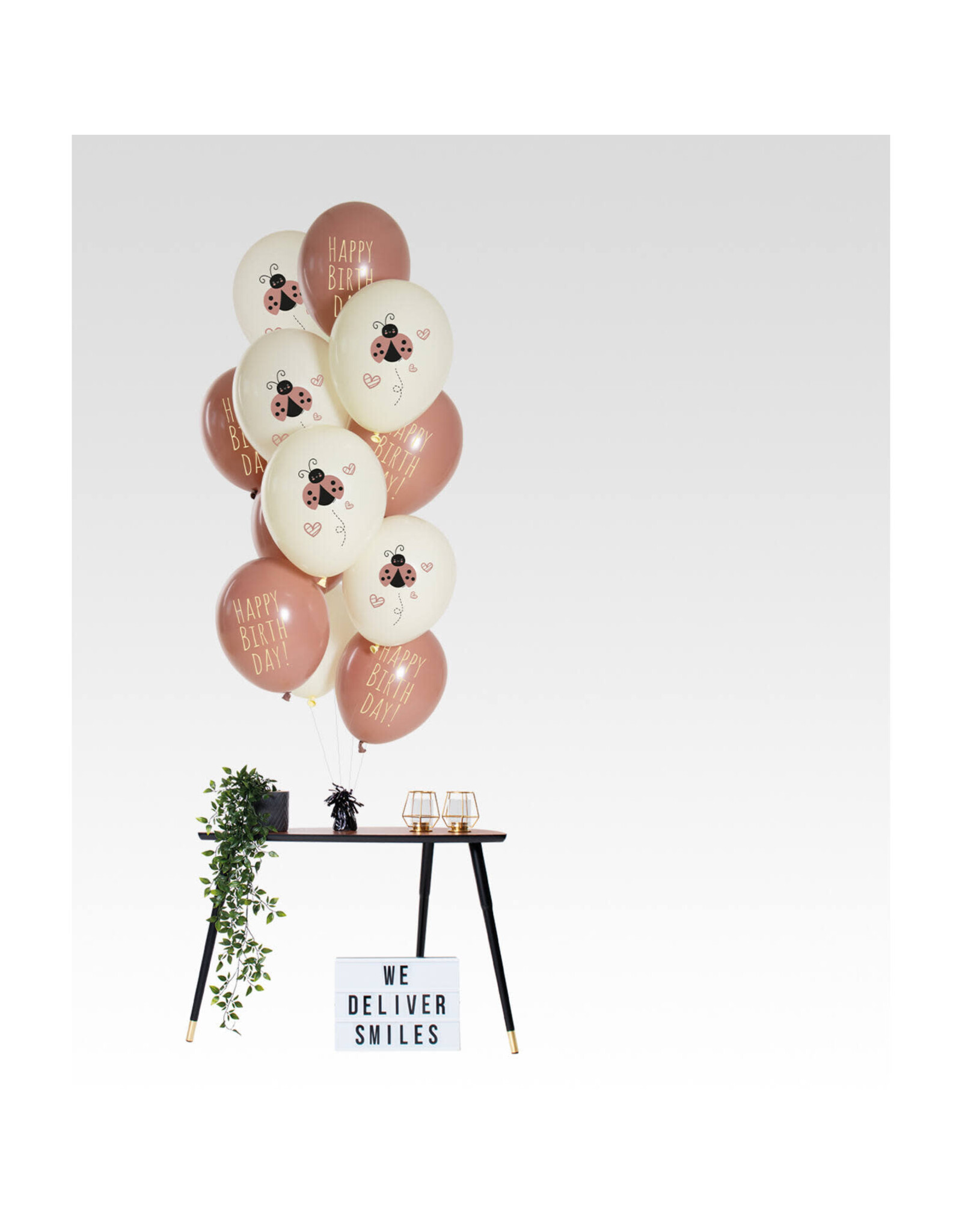 Latex ballonnenset birthday ladybug 33 cm 12 stuks