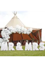 GingerRay ballonnen mozaiek MR & MRS