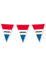 Vlaggenlijn geslaagd Nederland 10 meter