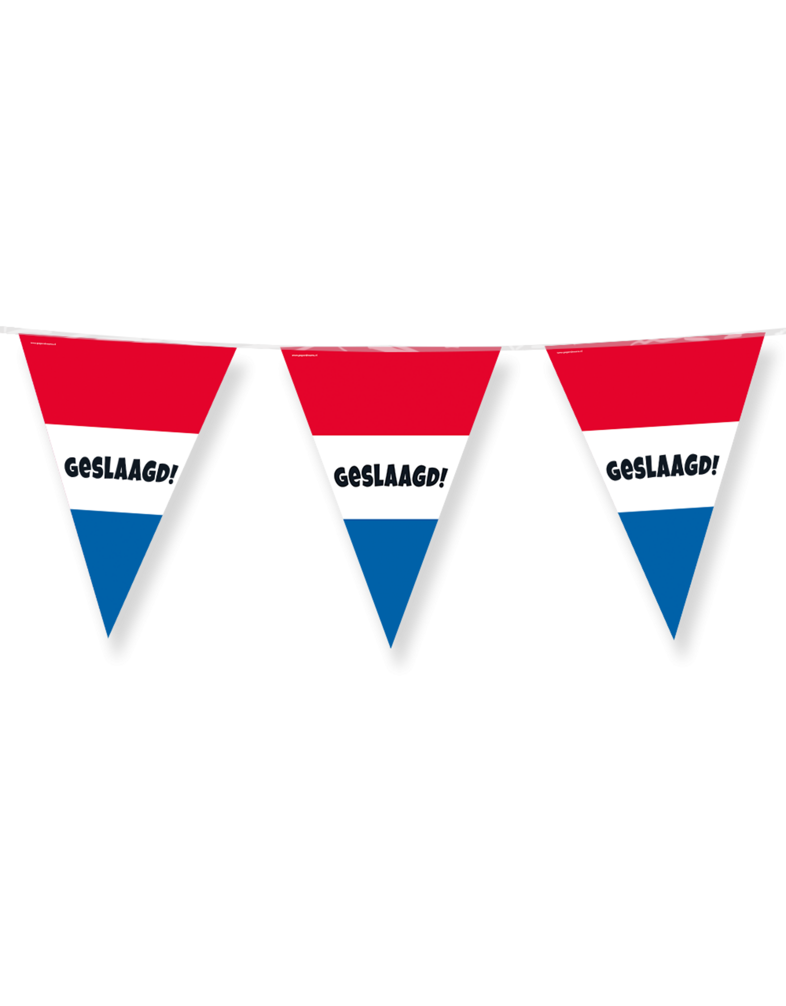 Vlaggenlijn geslaagd Nederland 10 meter