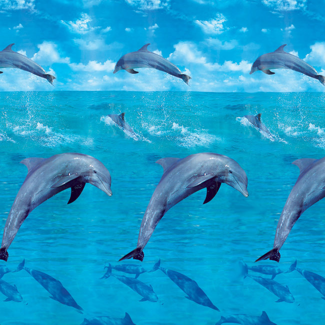 Kleine Wolke Douchegordijn Dolphin multicolor 180x200cm
