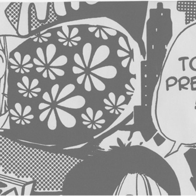 Dutch Wallcoverings Schuimvinyl cartoon zwart/zilver - schuimvinylbehang - 10m x 53cm - J234-09