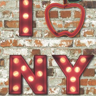 Dutch Wallcoverings Papierbehang - Freestyle baksteen/NewYork - 102536