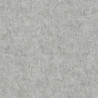 Dutch Wallcoverings Vliesbehang - Padua uni zilver - 56129
