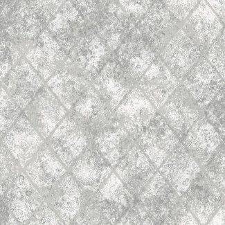 Dutch Wallcoverings Vliesbehang - Reclaimed Mercury Glass zilver - 22326