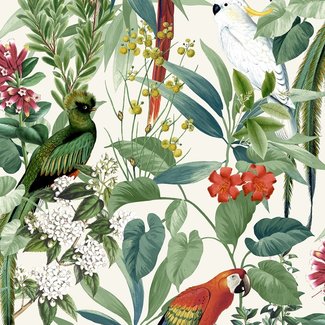 Dutch Wallcoverings Vliesbehang - Escapade tropische vogels groen - 576204