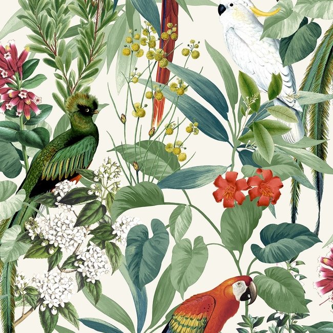 Dutch Wallcoverings Escapade tropische vogels groen - vliesbehang - 10m x 53cm - 576204