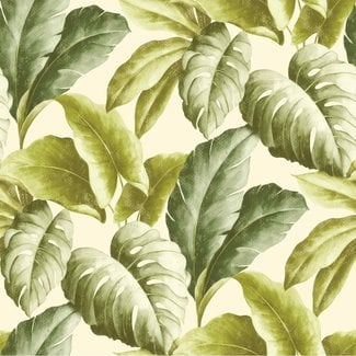 Dutch Wallcoverings Botanical bladeren groen/wit - BA2401