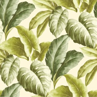 Dutch Wallcoverings Vliesbehang - Botanical bladeren groen/wit - BA2401