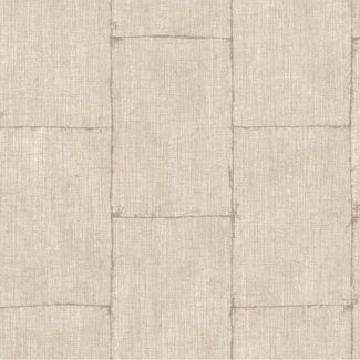 Dutch Wallcoverings Textured Plains metal beige - TP3002