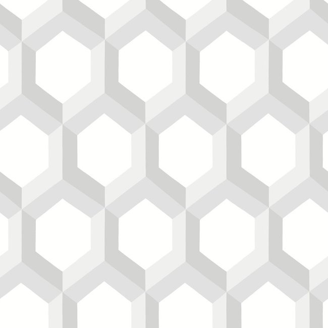 Dutch Wallcoverings Eclipse Hex wit/grijs - vliesbehang - 10m x 52cm - 23840