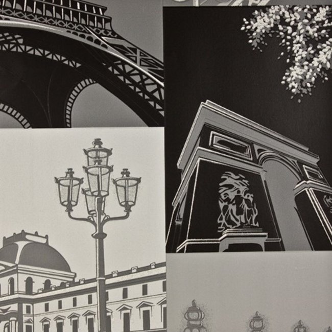 Dutch Wallcoverings Be Yourself Parijs zwart/zilver - schuimvinylbehang - 10m x 53cm - F606-09