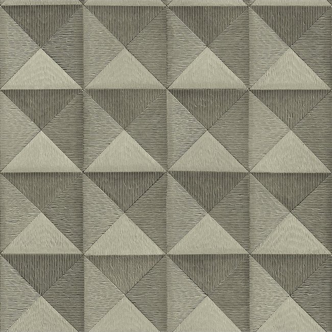 Dutch Wallcoverings Beaux arts 2 3d effect pewter - vliesbehang - 10m x 53cm - BA220064