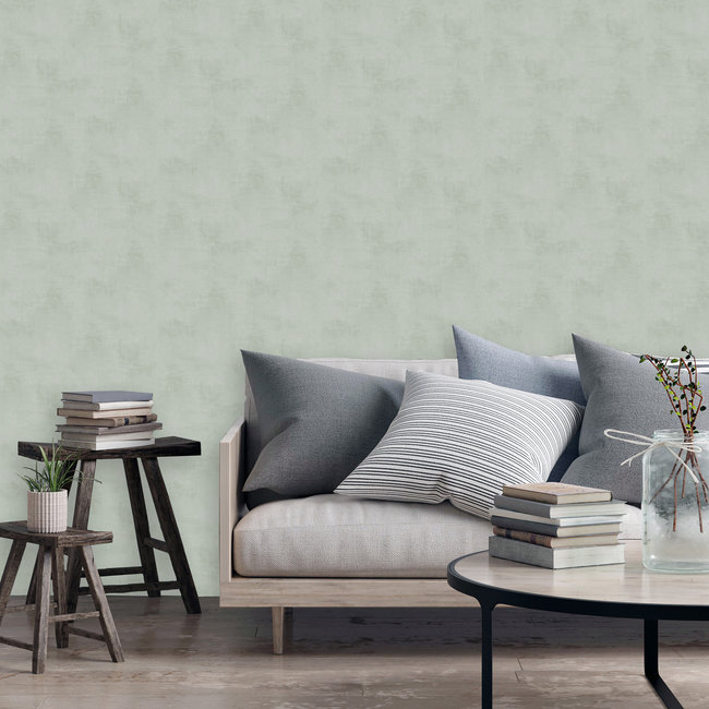 Dutch Wallcoverings Kalk/Solitär uni lichtgrijs - vliesbehang - 10m x 53cm - 61023