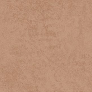 Dutch Wallcoverings Vliesbehang - Unis 6 uni bruin - 57936